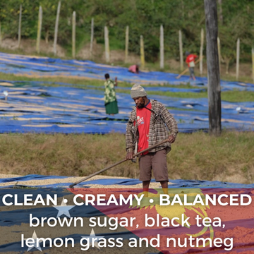 Papua New Guinea Baroida Estate